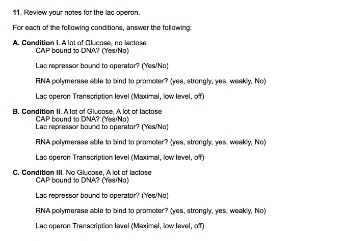 Solved 11. Review your notes for the lac operon. For each of | Chegg.com
