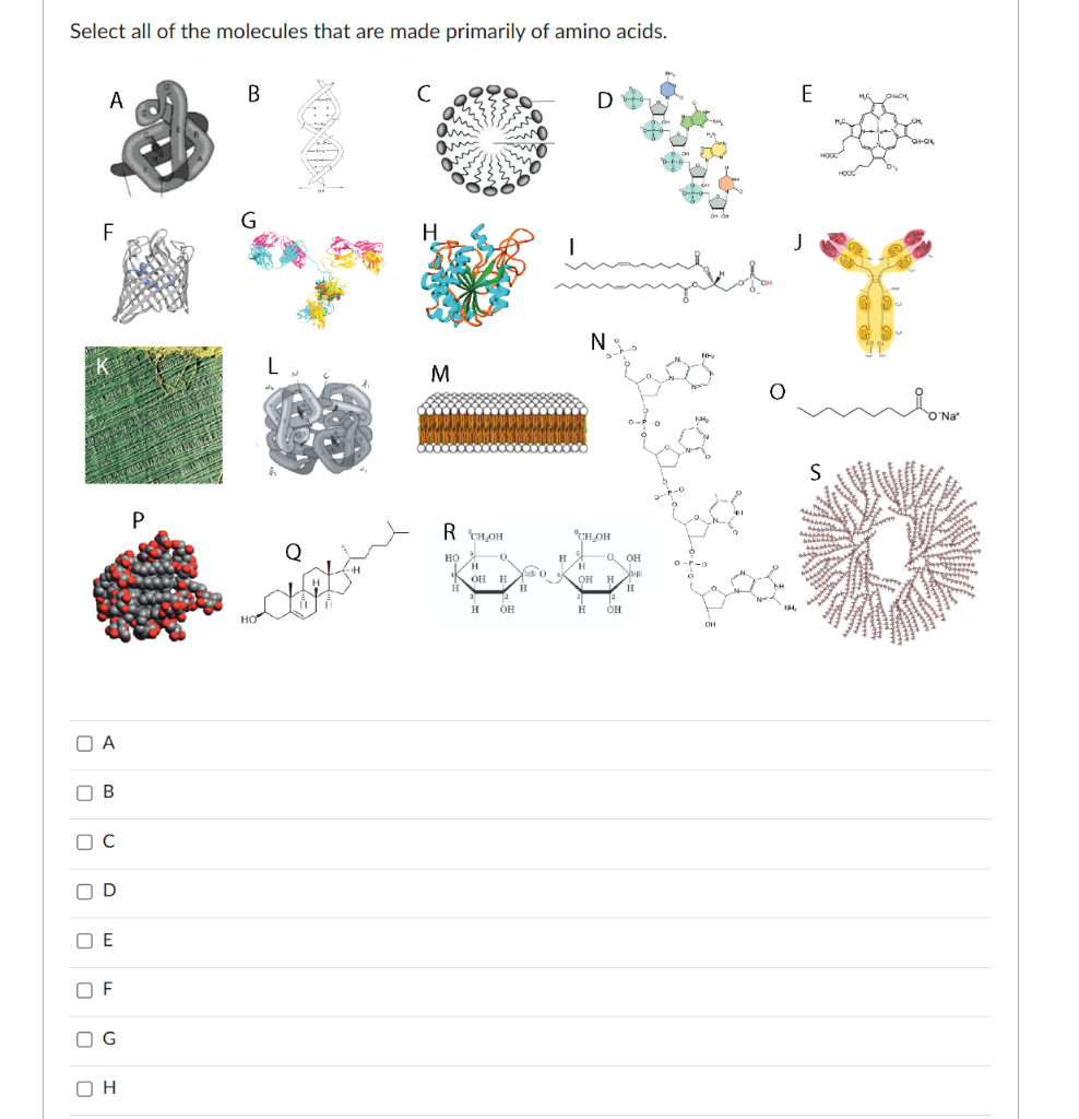 Select all of the molecules that are made primarily | Chegg.com
