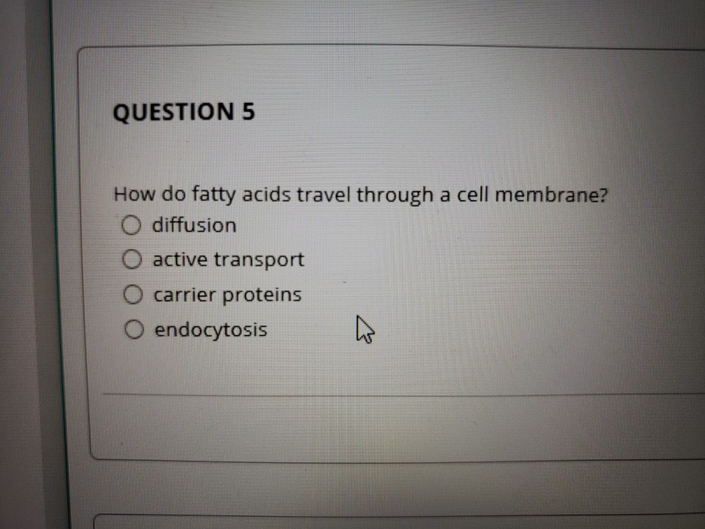 solved-question-5-how-do-fatty-acids-travel-through-a-cell-chegg