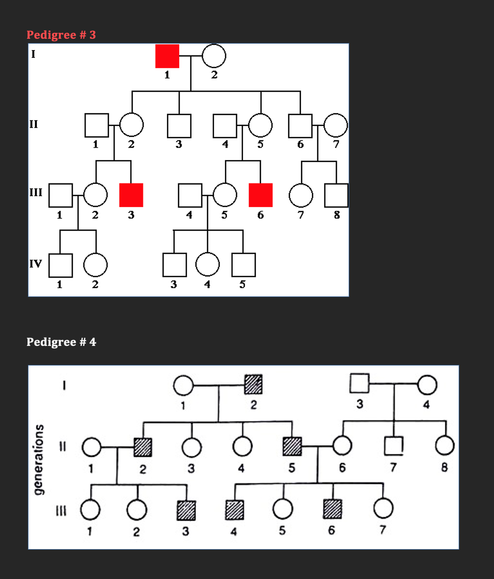 Solved Pedigree #1 I 1 II 194 2 3 5 7 8 III DOT 1 2 3 4 5 6 | Chegg.com