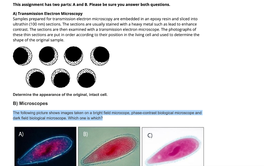 Solved This Assignment Has Two Parts: A And B. Please Be | Chegg.com