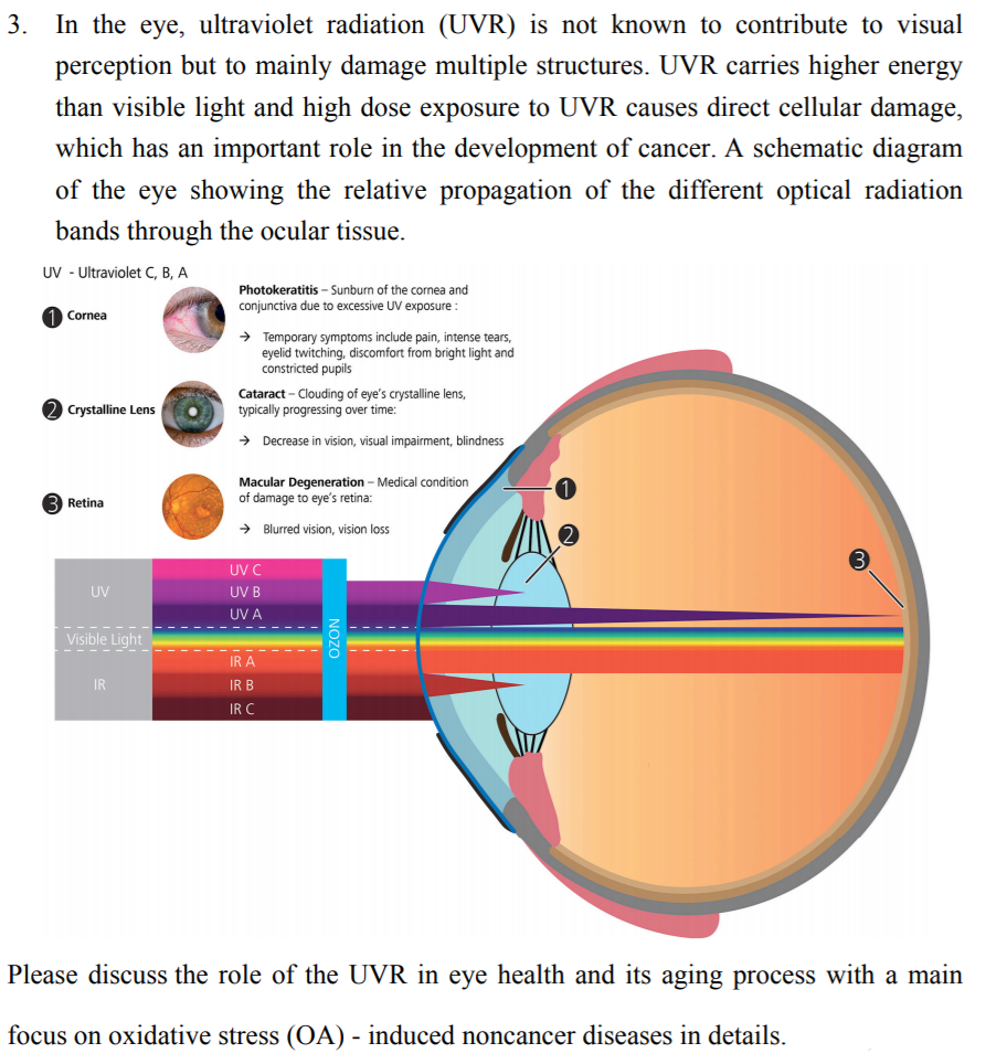 can ultraviolet rays cause night blindness