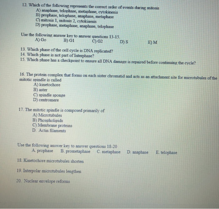 Which Of The Following Contain The 9 + 2 Arrangement Of Microtubules?