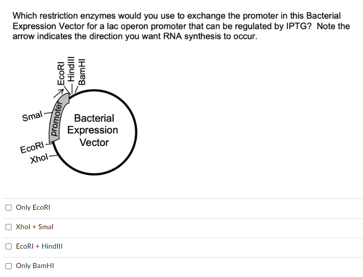 Solved Which Restriction Enzymes Would You Use To Exchange | Chegg.com