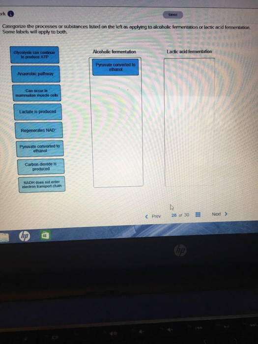 Solved rk Categorize the processes or substances listed on
