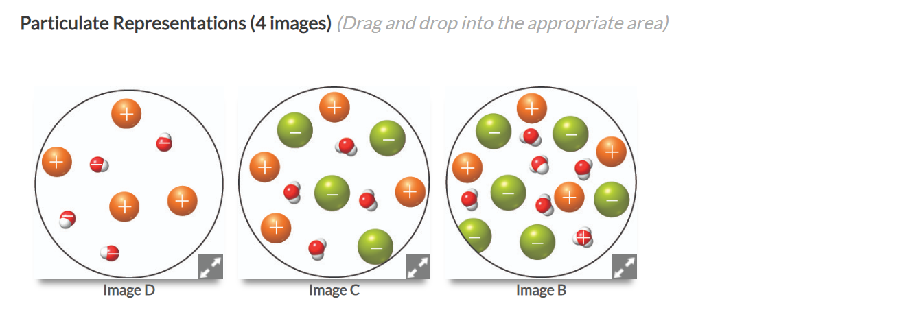 The Images Below Depict Solute Particles Present Chegg 