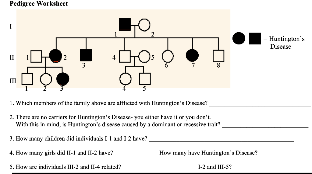 Solved Pedigree Worksheet I ho = Huntington's Disease II 2 4