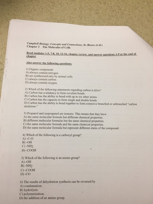 Chapter 12 Review Biology DanchJunior