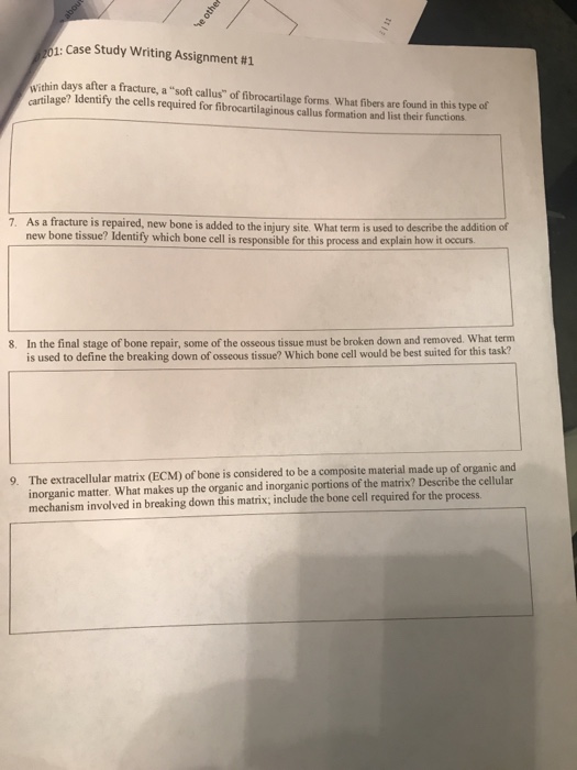 case study 4 bone breakdown