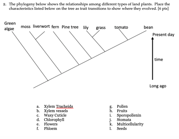Solved 2. The phylogeny below shows the relationships among | Chegg.com