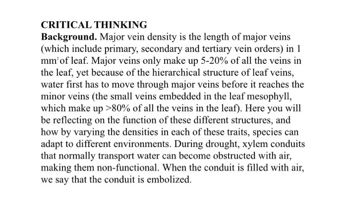 critical thinking examples importance of critical thinking
