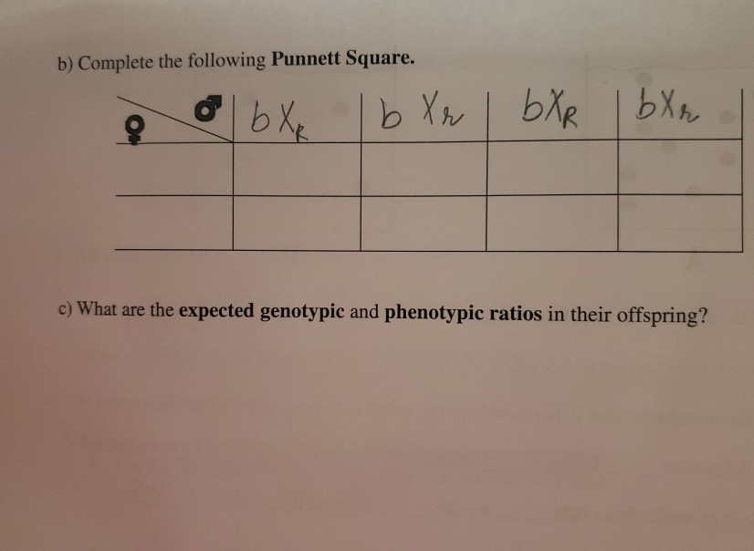 Green Eye Color Punnett Square - Eye Color Photos