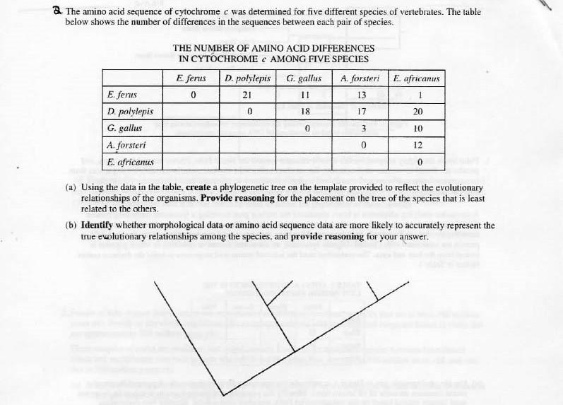 Solved & The amino acid sequence of cytochrome c was
