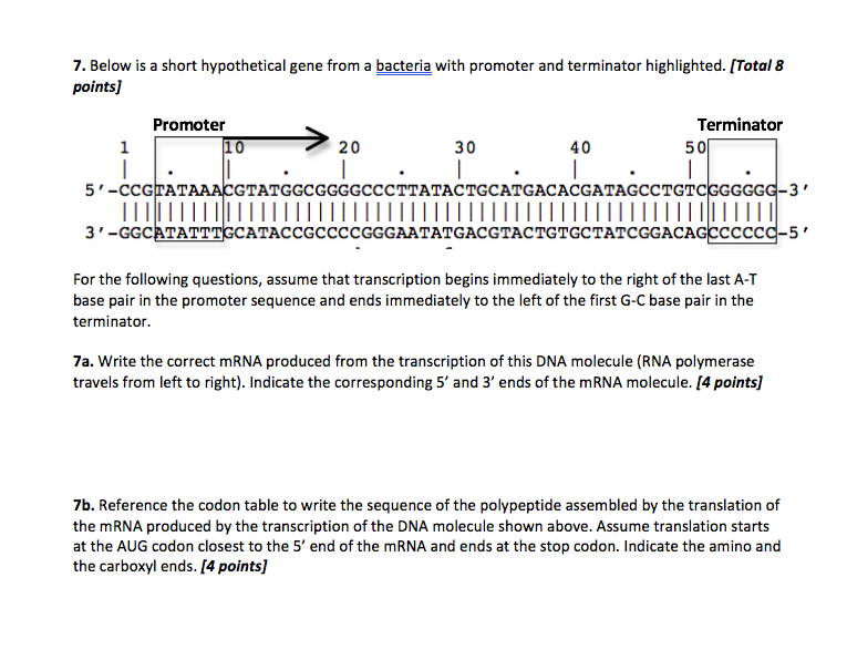 Solved 7. Below is a short hypothetical gene from a bacteria | Chegg.com