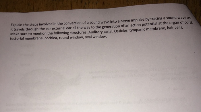 Solved Explain the steps involved in the conversion of a | Chegg.com