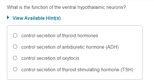 Solved What is the function of the ventral hypothalamic | Chegg.com