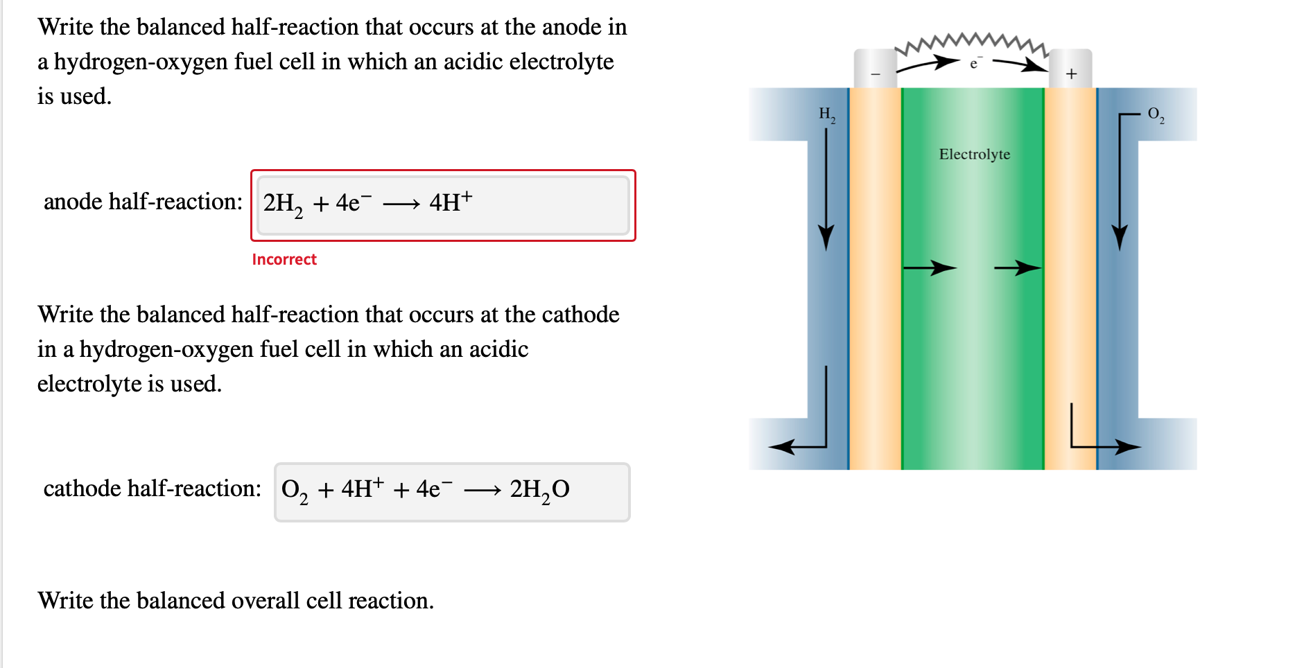 Solved Write The Balanced Half Reaction That Occurs At The