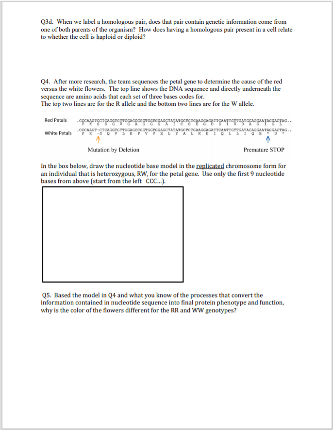Solved can someone help me with these questions? I can not | Chegg.com