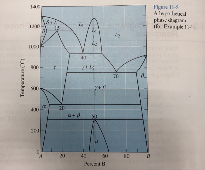 Solved: I’m Just Not Sure What Equilibrium Phases Are Happ... | Chegg.com