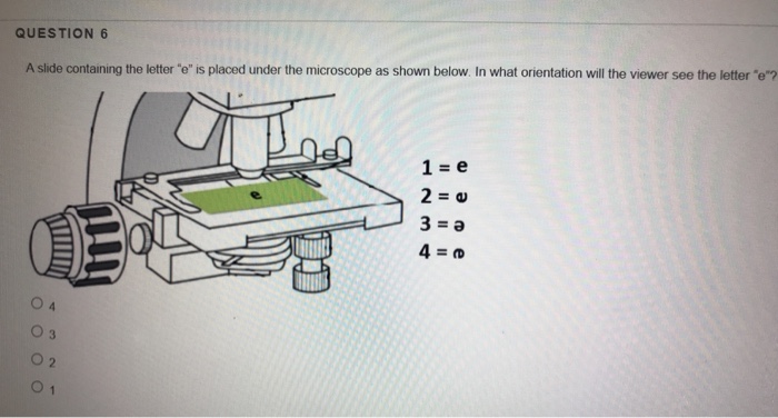 Solved Question 6 A Slide Containing The Letter E Is