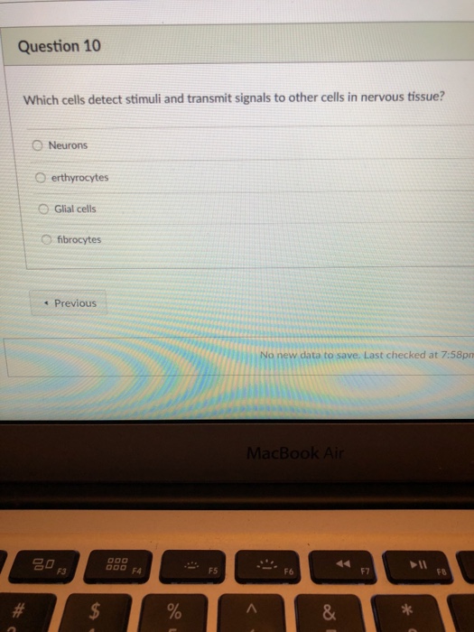 Solved Question 10 Which cells detect stimuli and transmit | Chegg.com