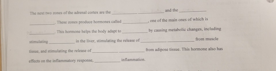 Solved Complete It: Hormones of the Adrenal Cortex Fill in | Chegg.com