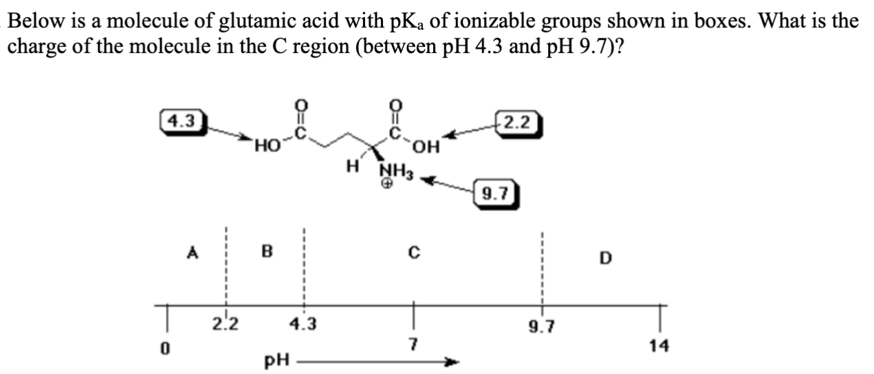 Solved Below is a molecule of glutamic acid with pKa ﻿of