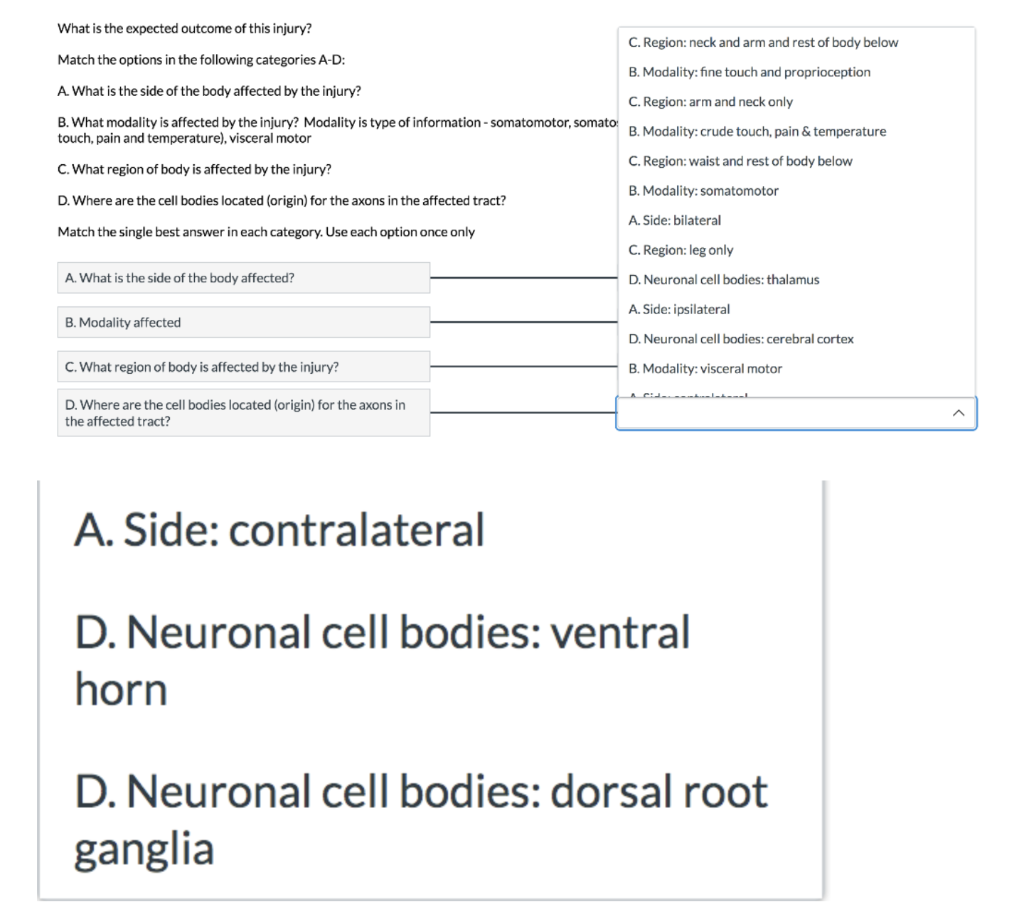 Flank Pain – The Clinical Problem Solvers