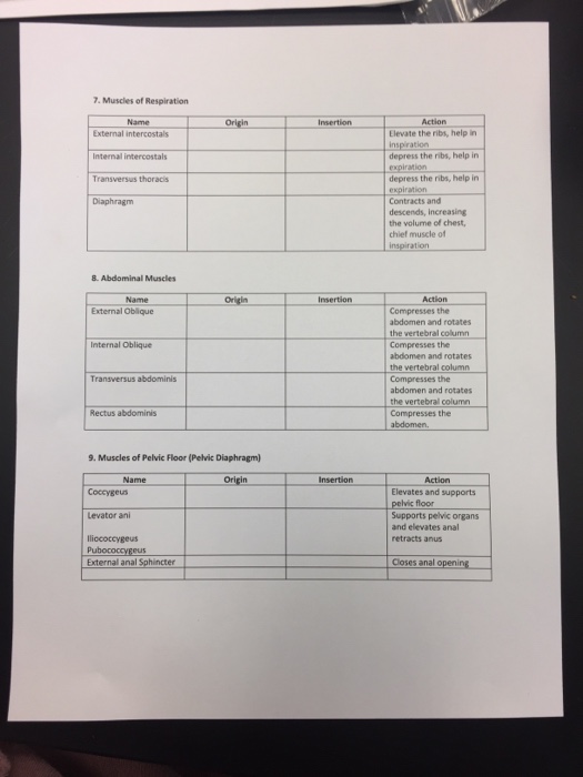 Solved 7. Muscles of Respiration Name Origin Insertion | Chegg.com