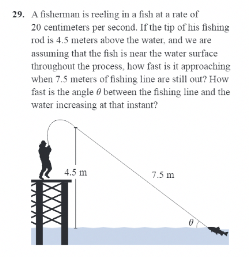 Solved 29. A fisherman is reeling in a fish at a rate of 20 | Chegg.com