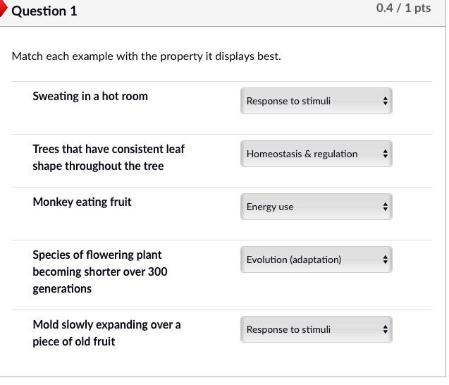 Solved Question 1 0.4 / 1 pts Match each example with the | Chegg.com