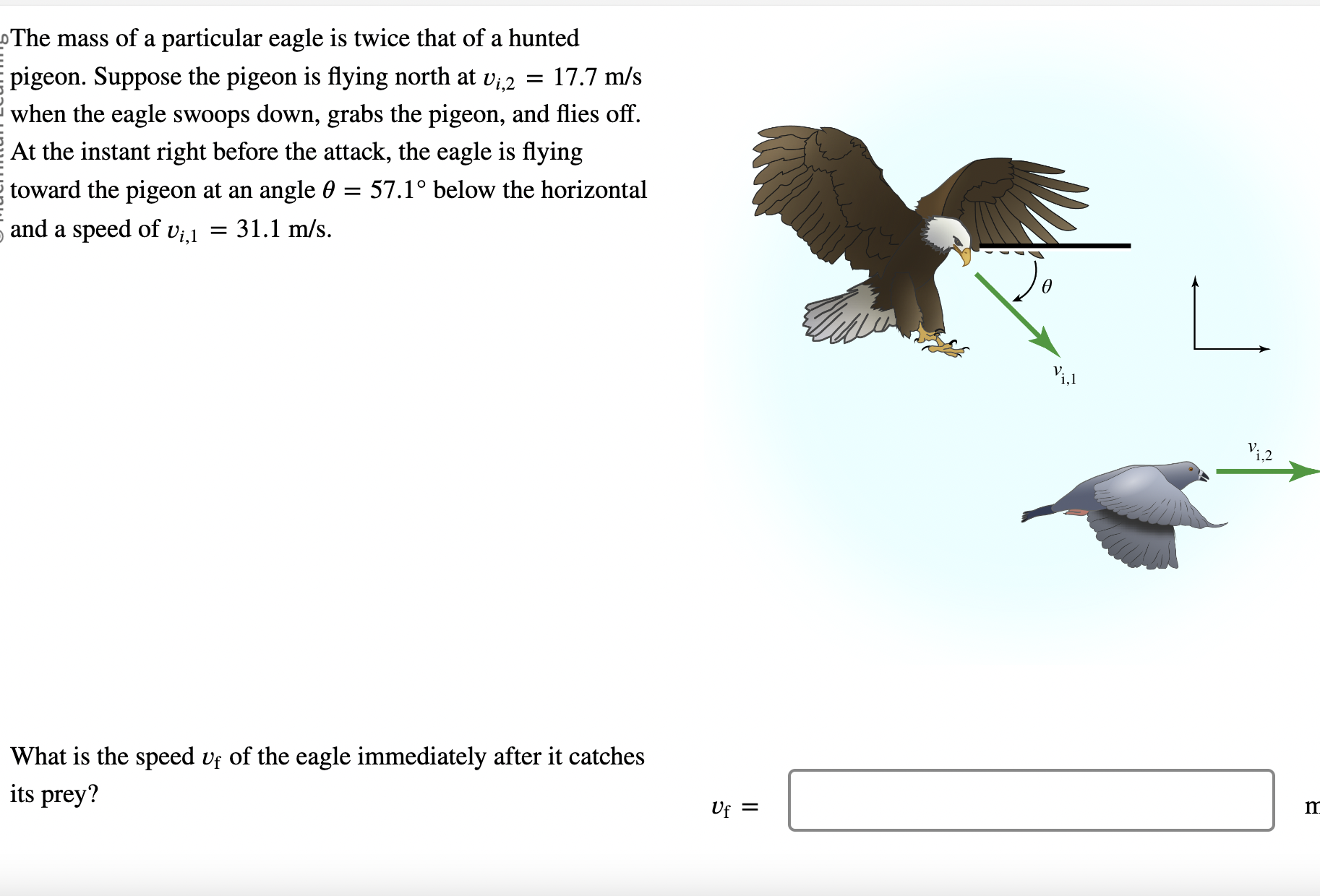 Solved The mass of a particular eagle is twice that of a | Chegg.com