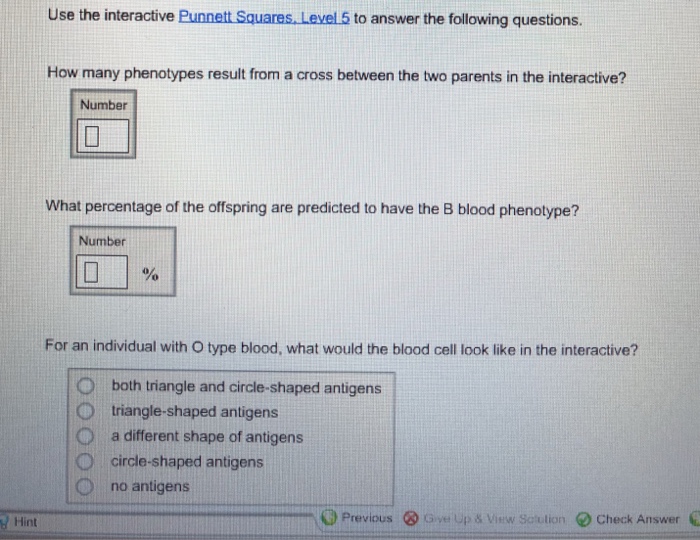 Solved Match each definition to the correct term.