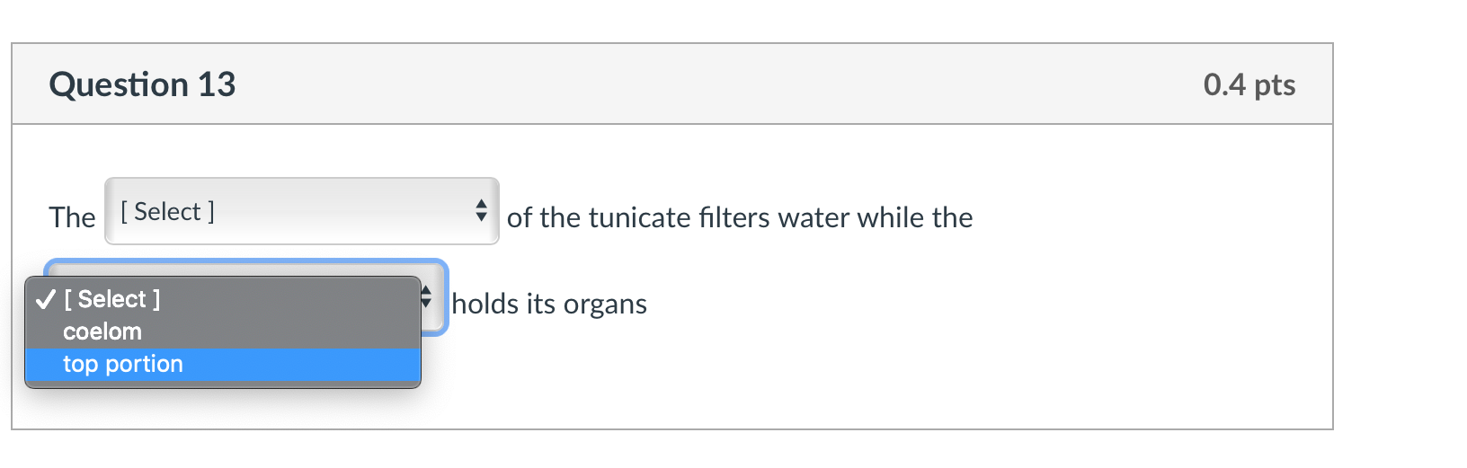 solved-question-6-0-4-pts-the-dorsal-hollow-nerve-cord-forms-chegg