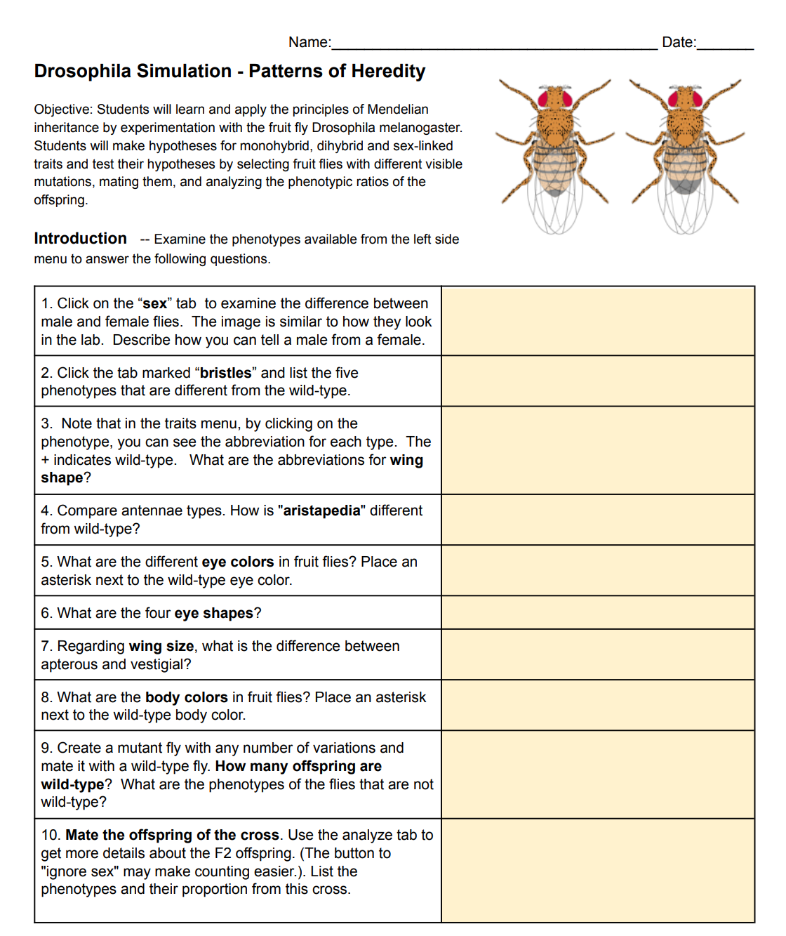 Solved Drosophila Simulation Patterns of Heredity