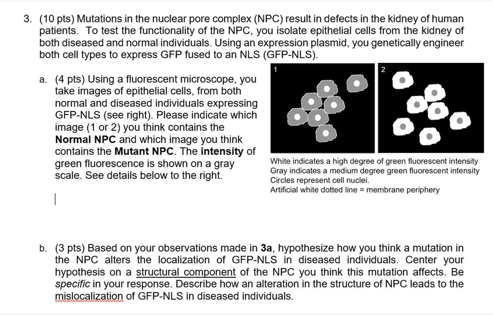 Solved by an EXPERT 3. (10 ﻿pts) ﻿Mutations in the nuclear pore complex ...