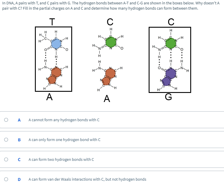 Solved In Dna A Pairs With T And C Pairs With G The Hy Chegg Com