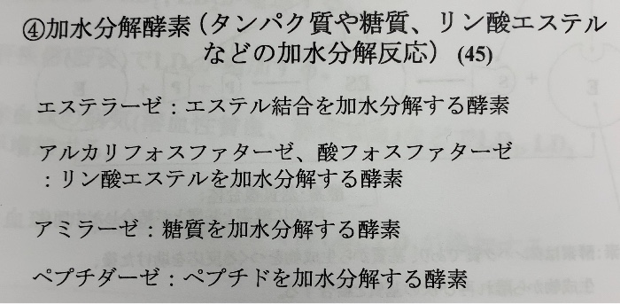国試 臨床生化学 酵素 Flashcards Chegg Com