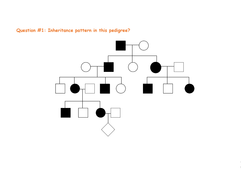 Question \#1: Inheritance pattern in this pedigree?