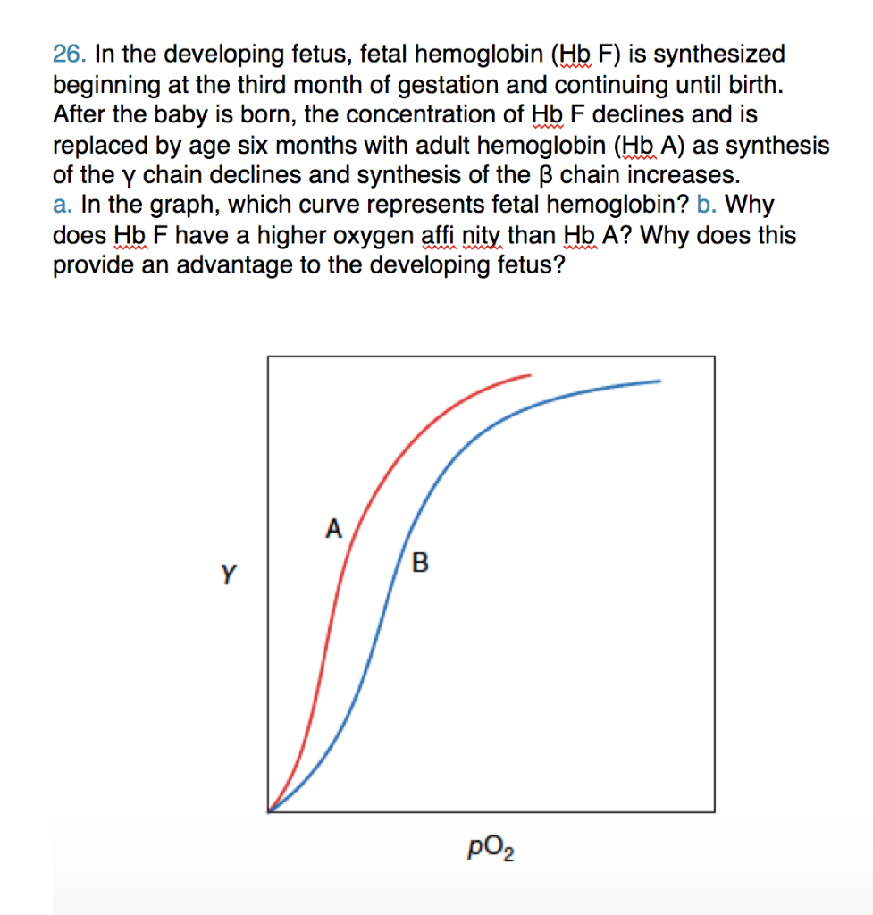 Solved 26. In The Developing Fetus, Fetal Hemoglobin (Hb F) | Chegg.com