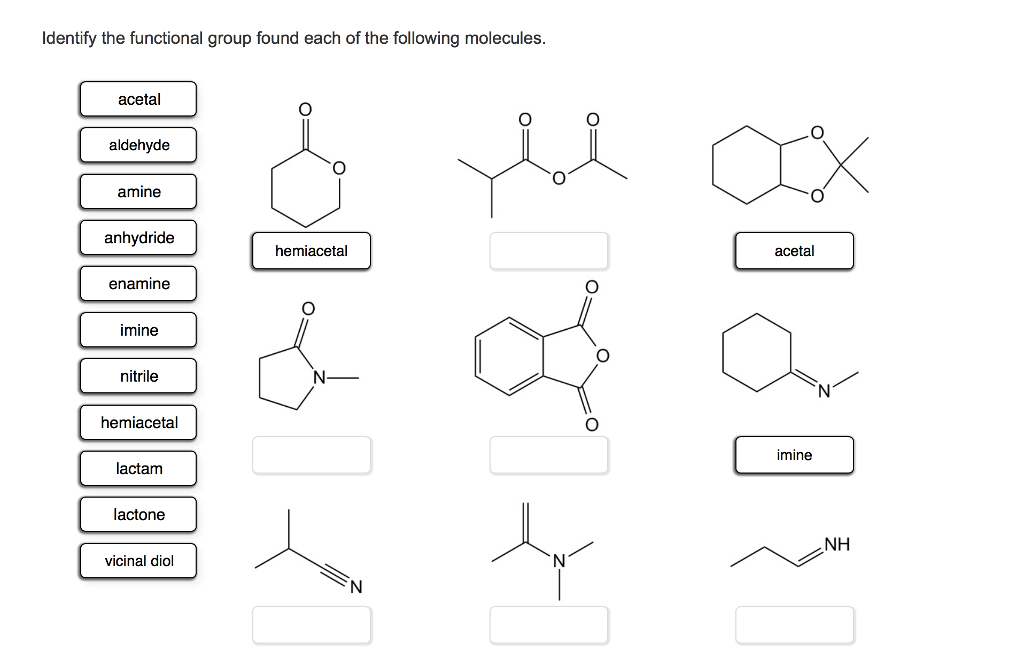 Solved Identify The Functional Group Found Each Of The 5912