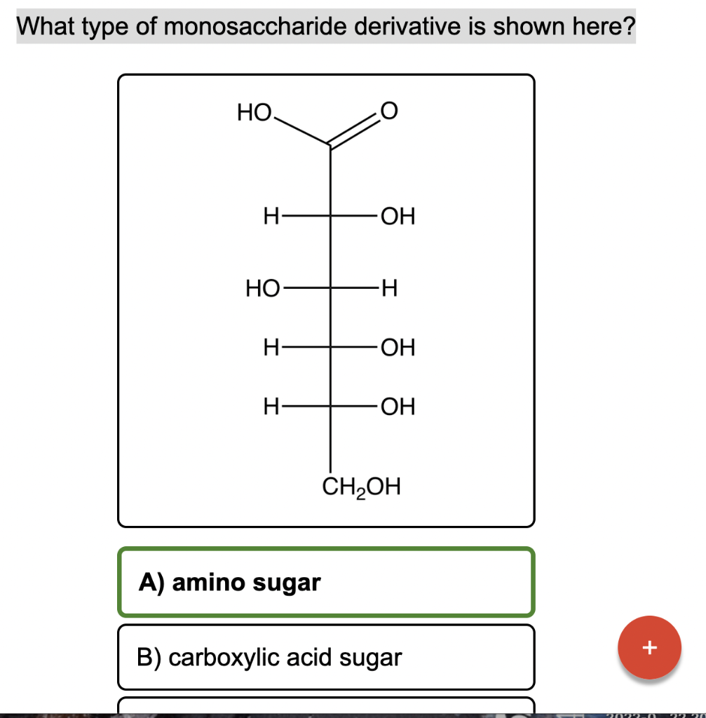 Solved What type of monosaccharide derivative is shown here?