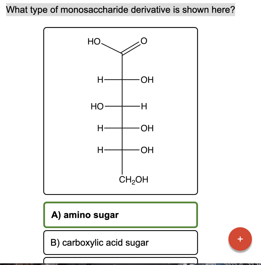 Solved What Type Of Monosaccharide Derivative Is Shown Here? | Chegg.com