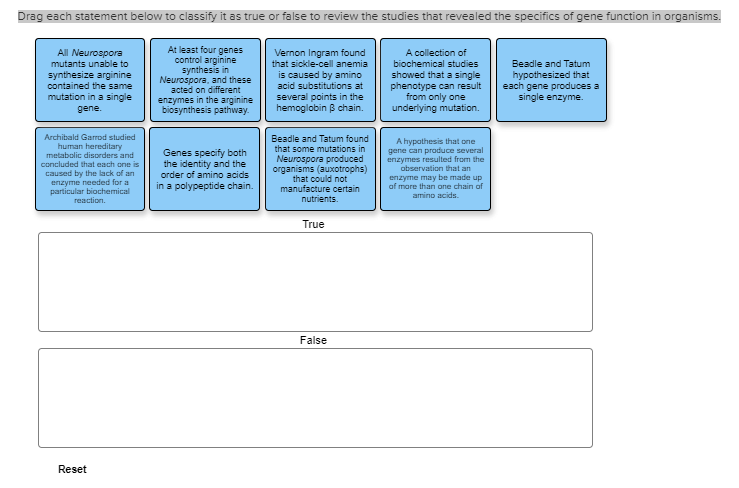 Solved Drag each statement below to classify it as true or | Chegg.com