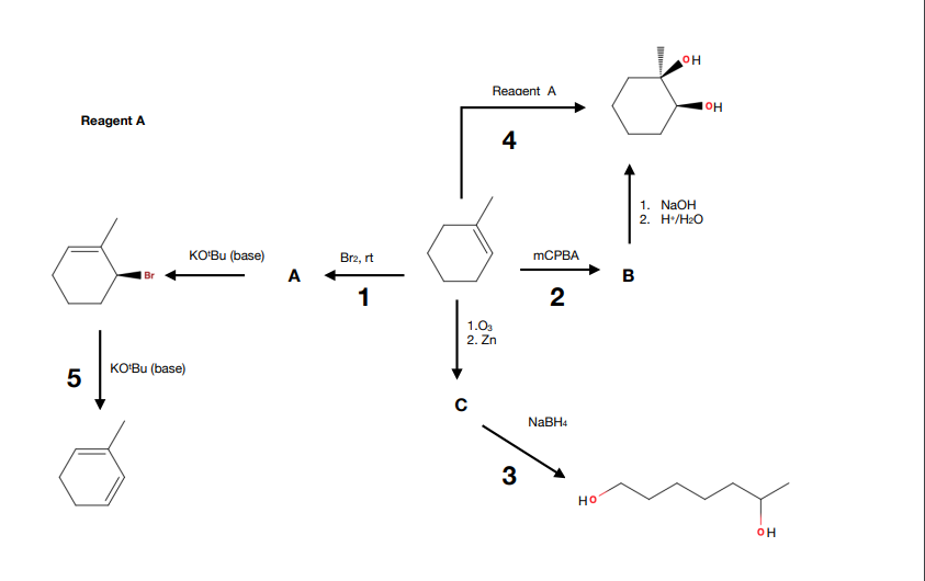 Solved 3. Give the mechanism for reactions 2 and 3. 4. Give | Chegg.com
