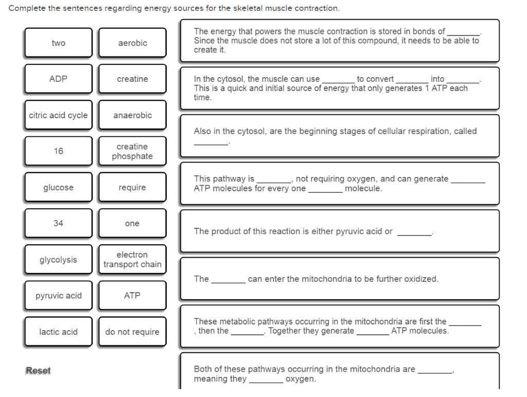 Solved Complete the sentences regarding energy sources for | Chegg.com