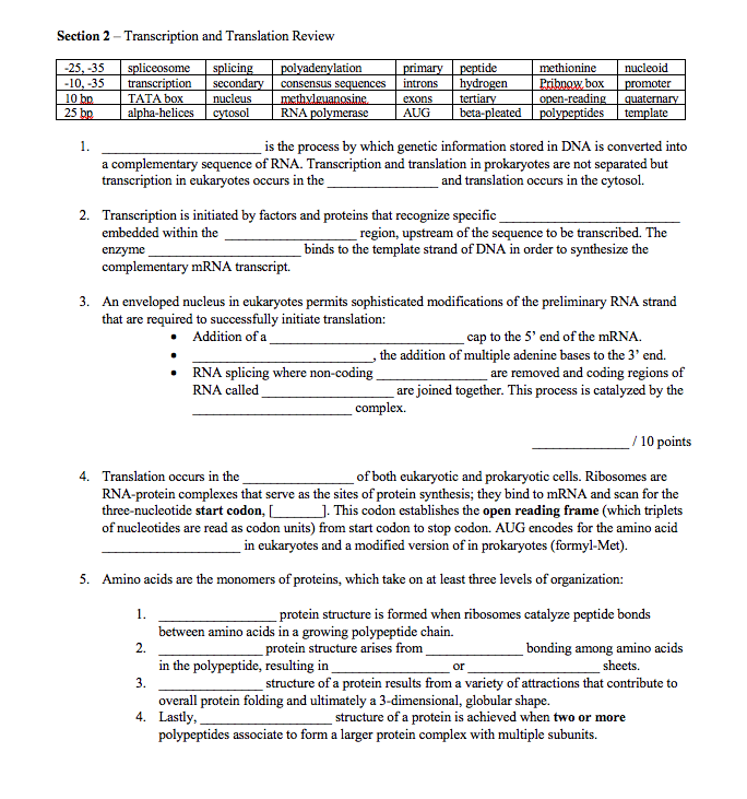 Solved Section 2 - Transcription and Translation Review | Chegg.com