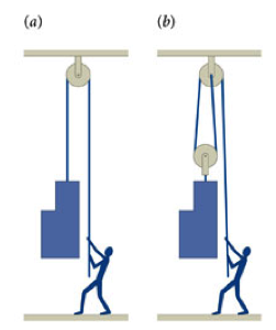 Solved The cabinet in the figure weights 8.0 x102 N. | Chegg.com