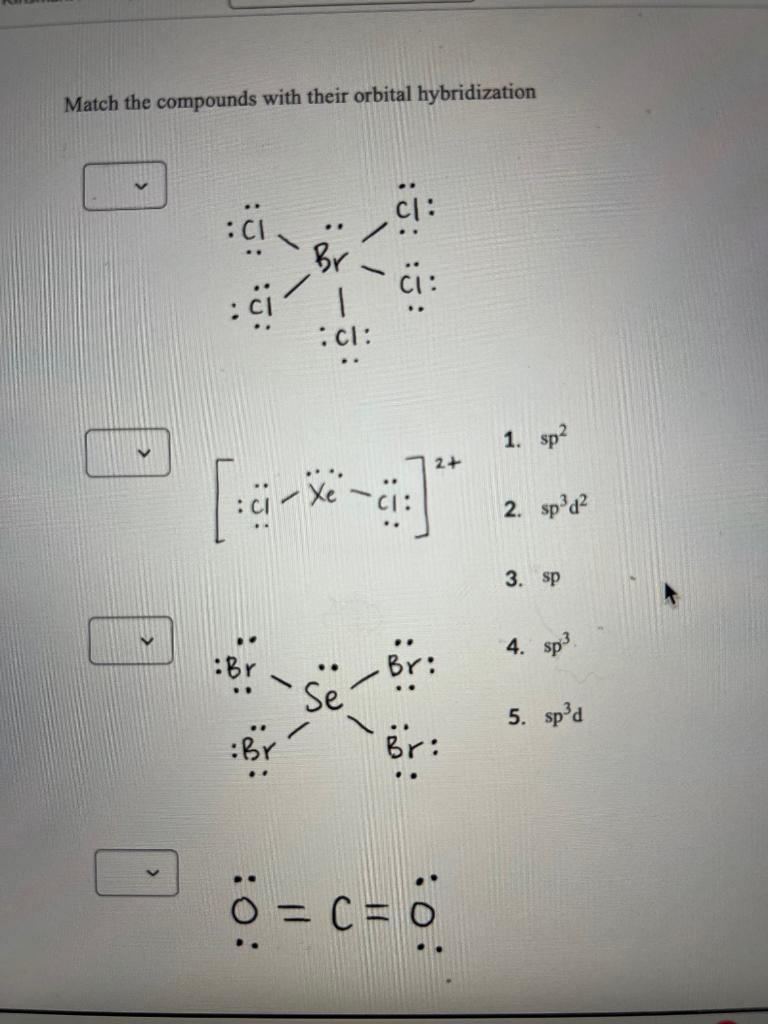 Solved Match the compounds with their orbital hybridization | Chegg.com