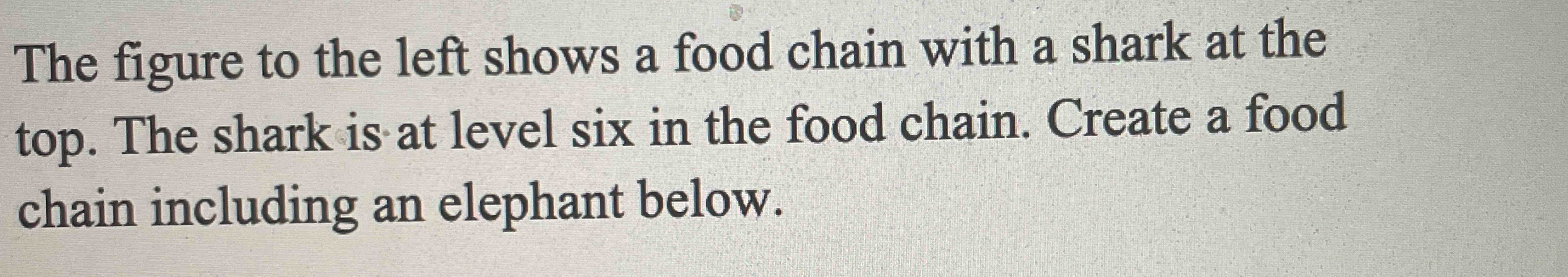 Solved The figure to the left shows a food chain with a Biology Diagrams